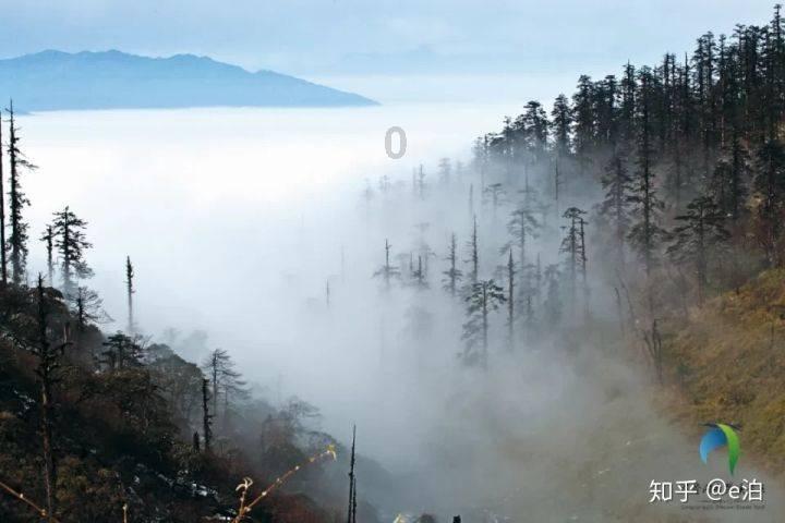 被别人冒名顶替上了大学，怎么做才能找回公道？游戏画面
