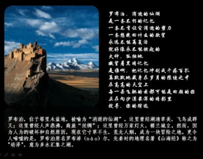 迪拜的冬日下,阳光煦丽、绿色掩映