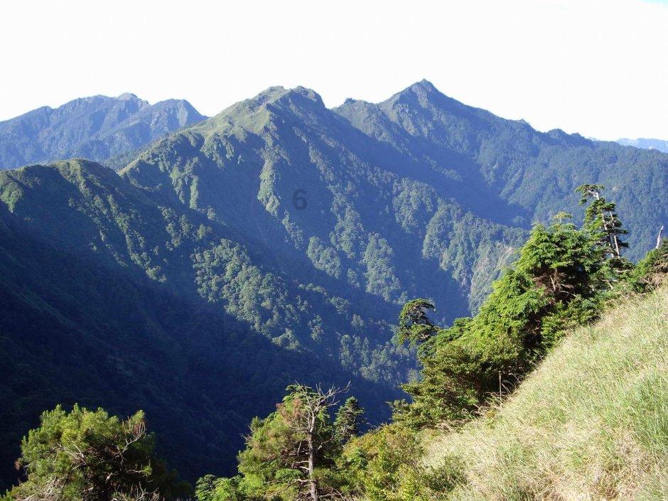 1根山药1个梨，立秋后我家经常这样吃，润肺止咳健脾胃，营养解馋