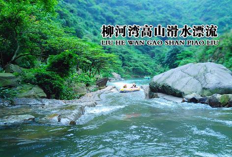 聚焦农村发展 省政协委员为“乡村振兴”建言