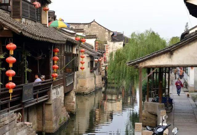 逃出小象森林