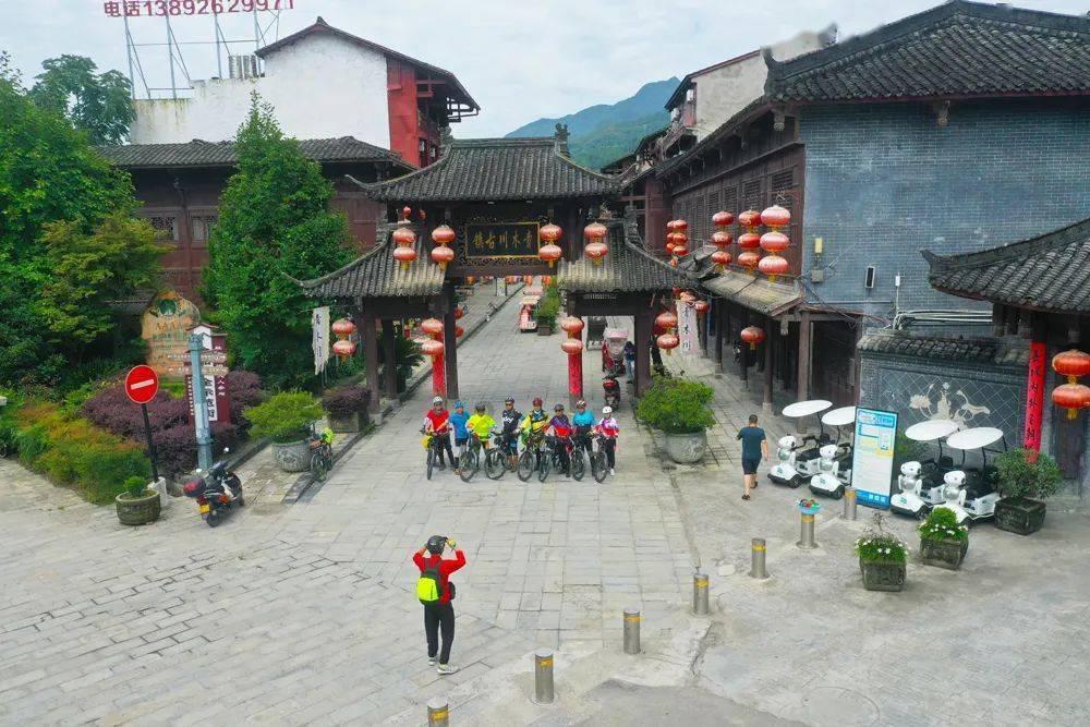 强大的狮子拼图