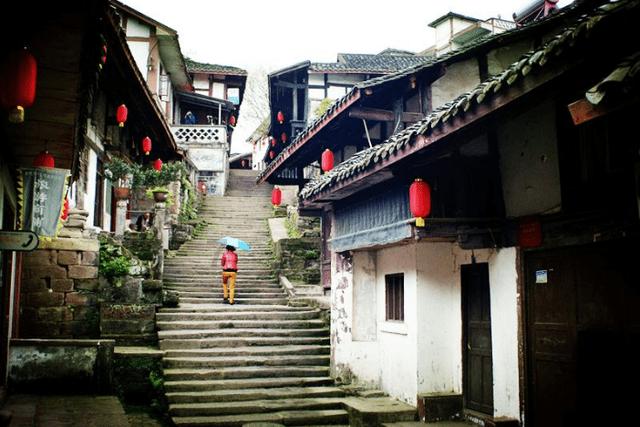 逃出猫头鹰岛